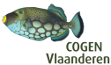 foto cogen