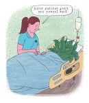 Groen 2 .jpg