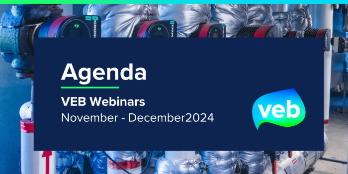 VEB webinars nov dec
